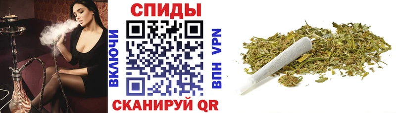 БУТИРАТ BDO 33%  Онега 